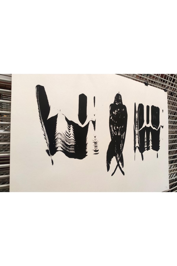Crow with Feathers 2