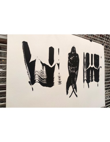 Crow with Feathers