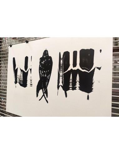 Crow with Feathers