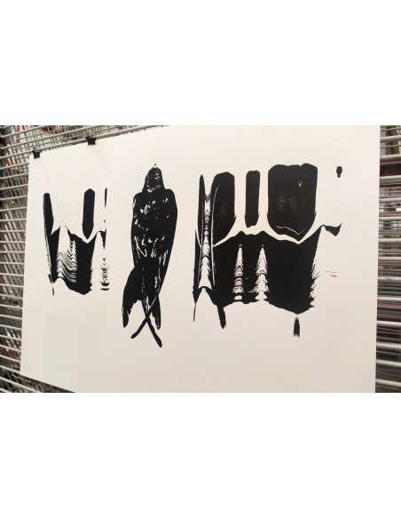 Crow with Feathers