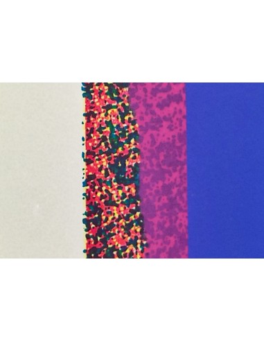 Mirjam Dijkema´s Test Print XIII