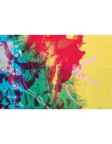 Mirjam Dijkema´s Test Print XV