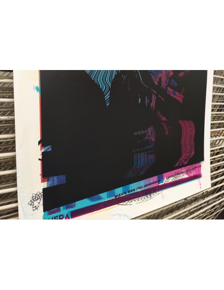Mirjam Dijkema´s Test Print XVI