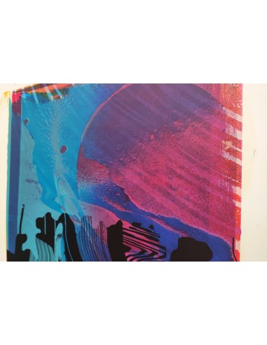 Mirjam Dijkema´s Test Print XVI