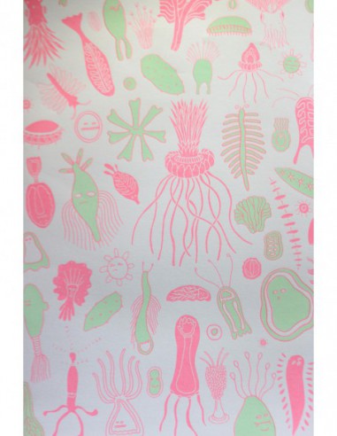 Plankton