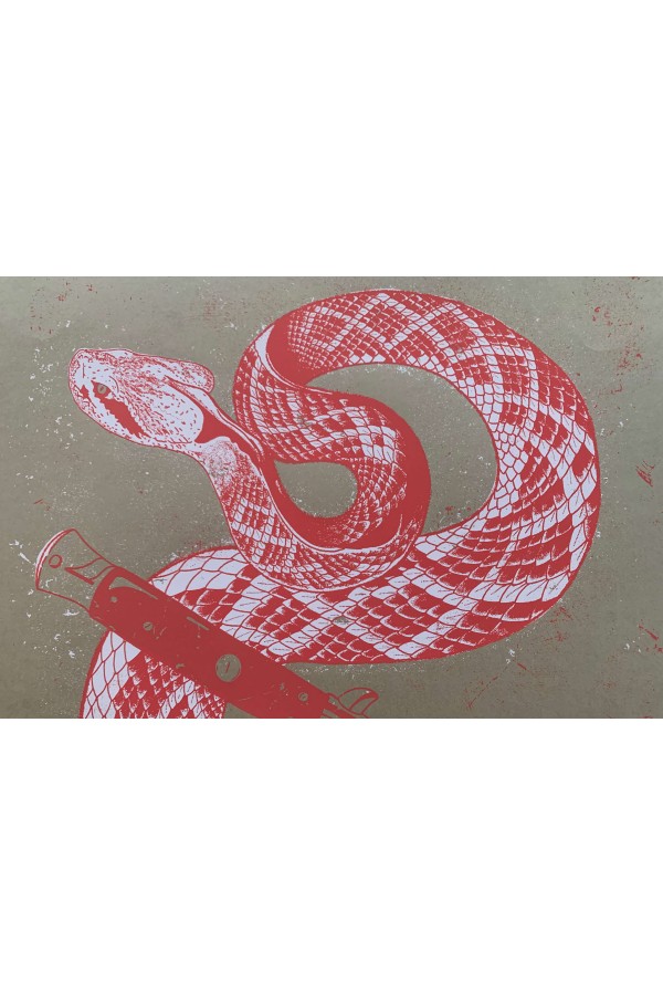 Stiletto Snake (Brown) 2