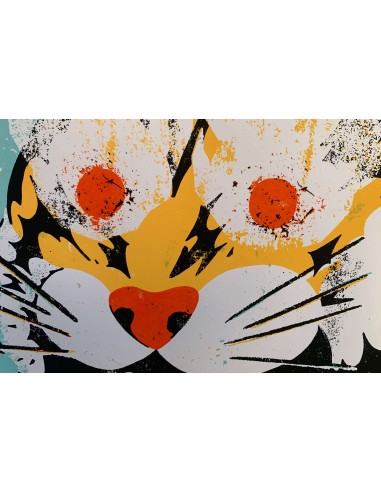 I Hope This Email Finds You Well - Tiger
