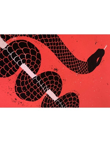 Snake Alcohol