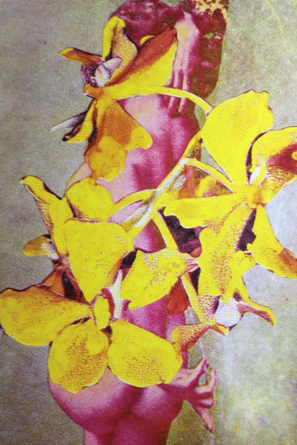 Woman with Flowers 2