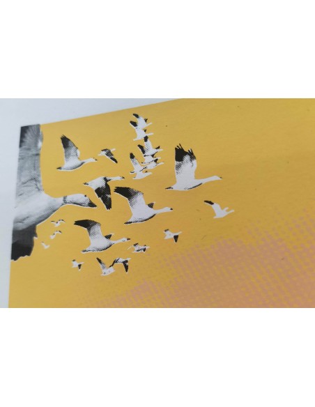 Libertas ( Artist´s proof )