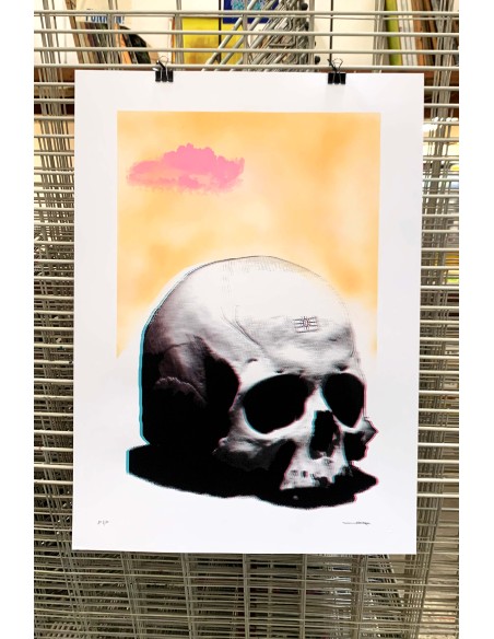 Evolutio Hominis  ( Artist´s proof )