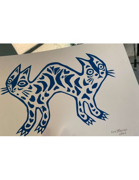 Gatto Bipolare