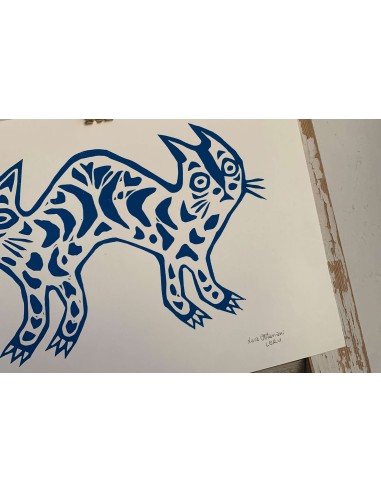 Gatto Bipolare