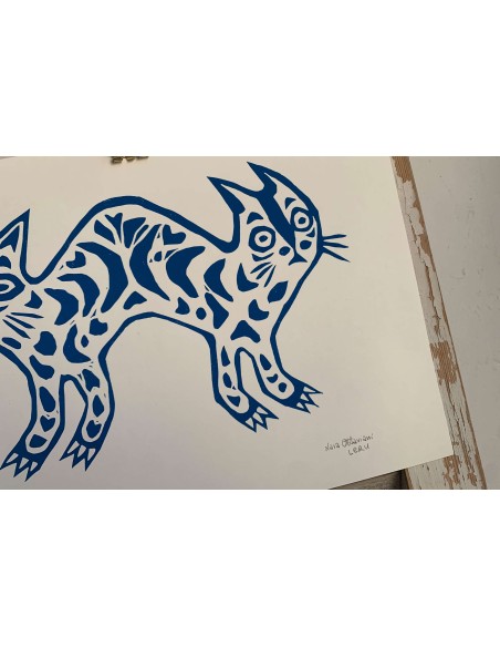 Gatto Bipolare