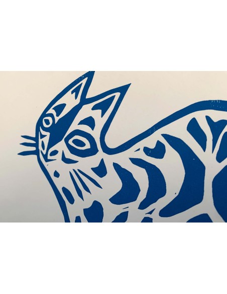 Gatto Bipolare