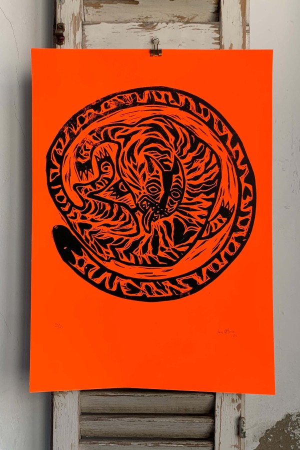 Felino Enrollado Orange &...