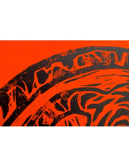 Felino Enrollado Orange & Black