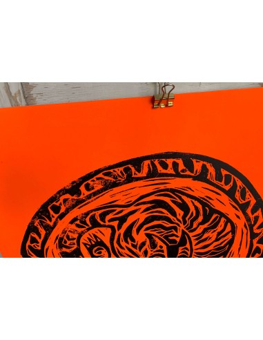 Felino Enrollado Orange & Black