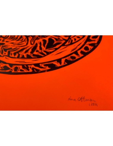 Felino Enrollado Orange & Black