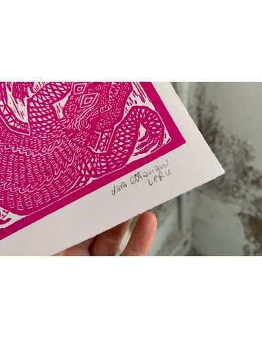 Coccodrilli Pink & Black