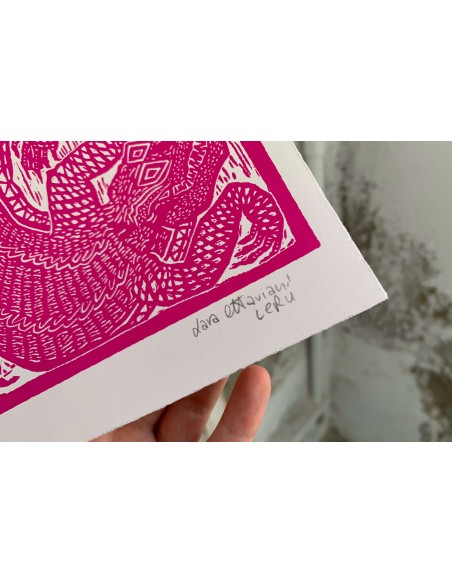 Coccodrilli Pink & Black