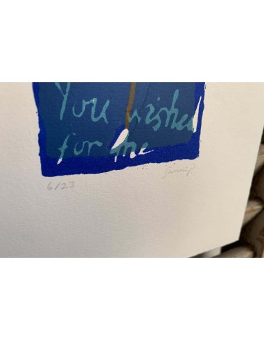 You Wished For Me