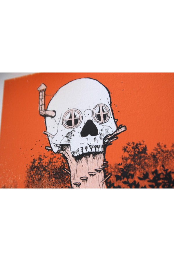 Calavera 2
