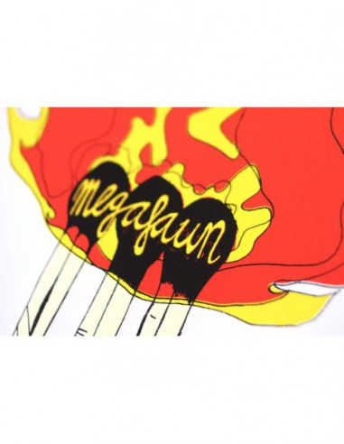 Megafaun 2012