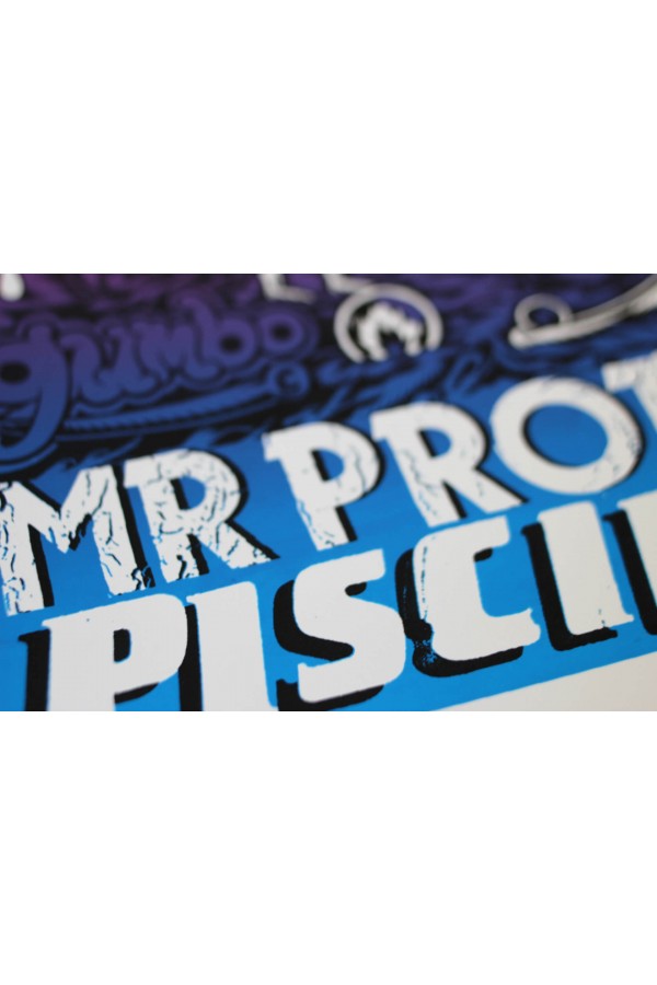 Mr Protector Piscine 2