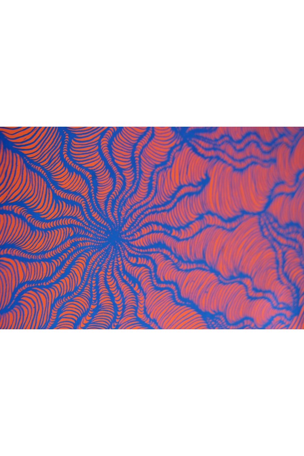 Visceras 2