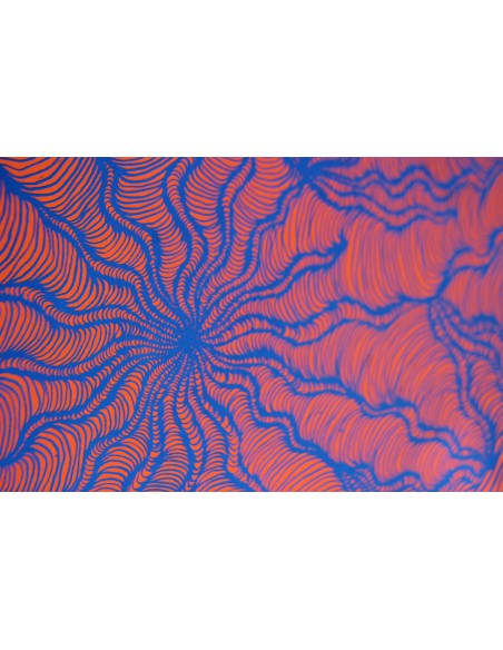 Visceras
