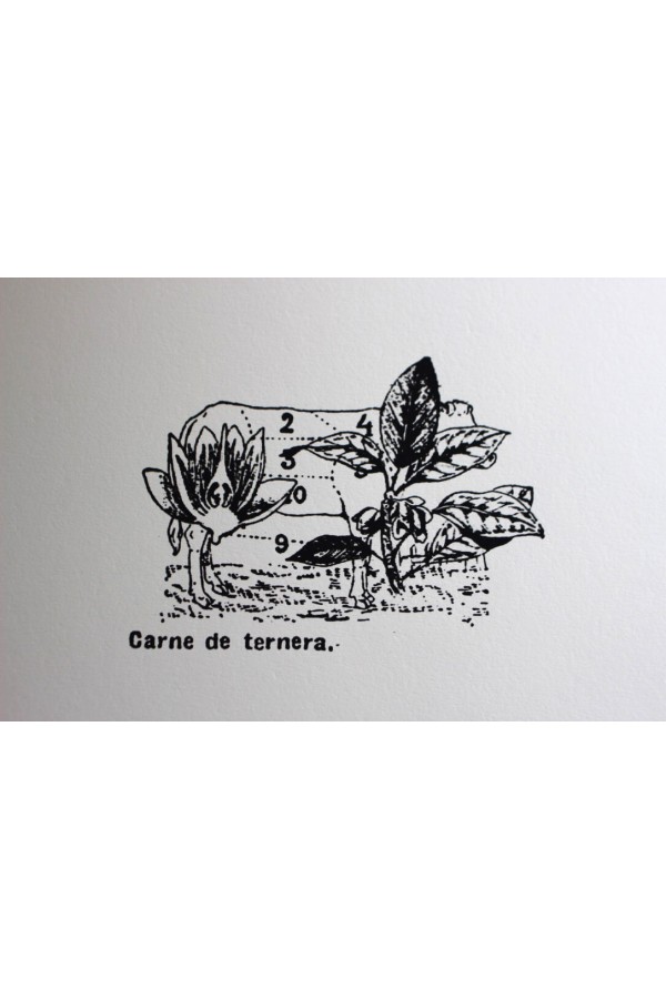 Carne de Ternera 2