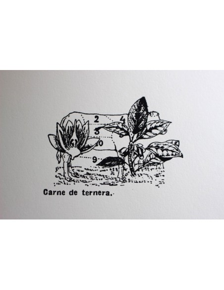 Carne de Ternera