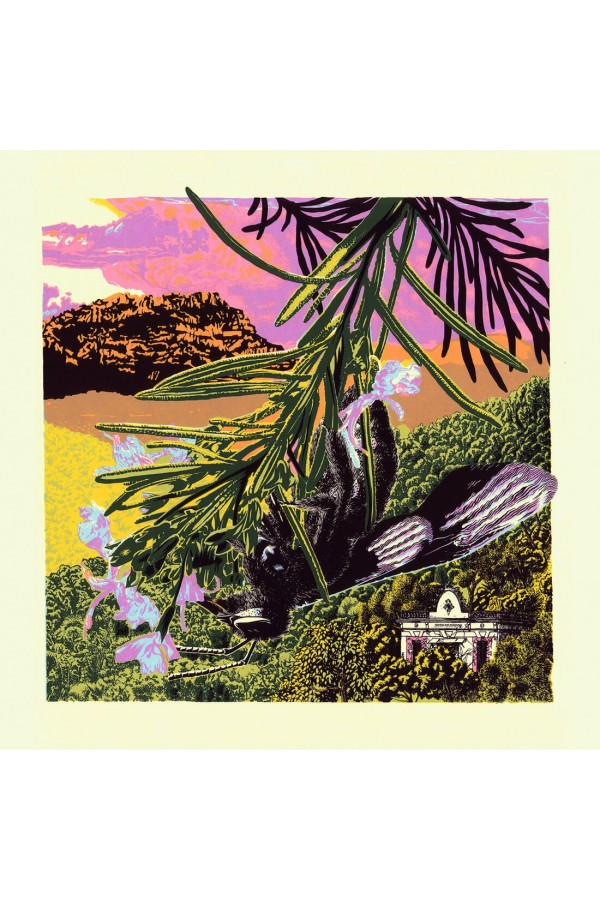 Collserola II 2