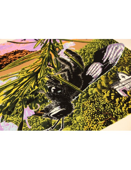 Collserola II