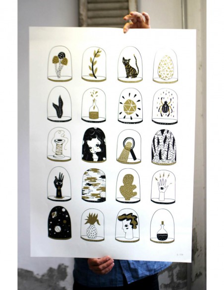 The Collection