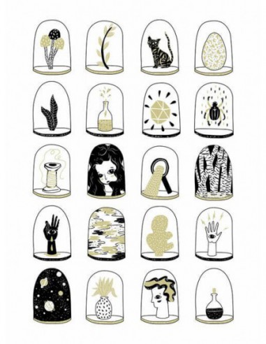 The Collection