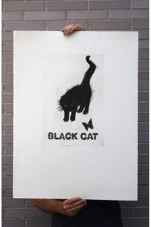 Black Cat