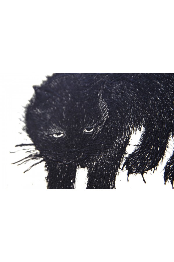 Black Cat 2