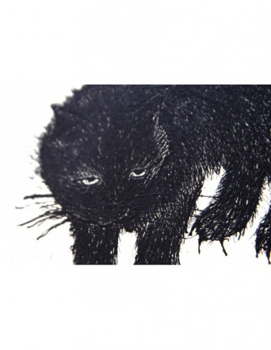Black Cat