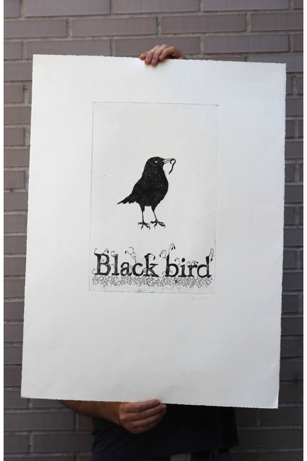 Black Bird