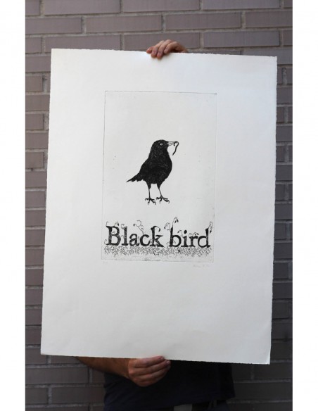 Black Bird