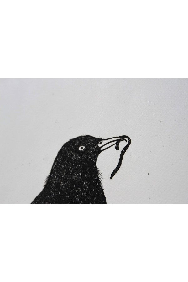 Black Bird 2