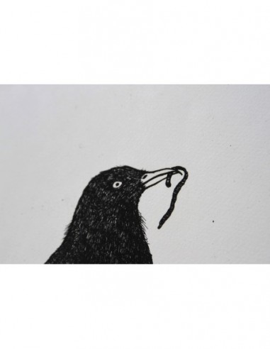 Black Bird