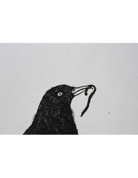 Black Bird