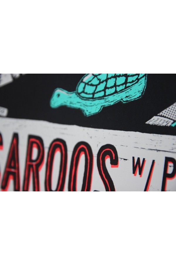 Saroos 2