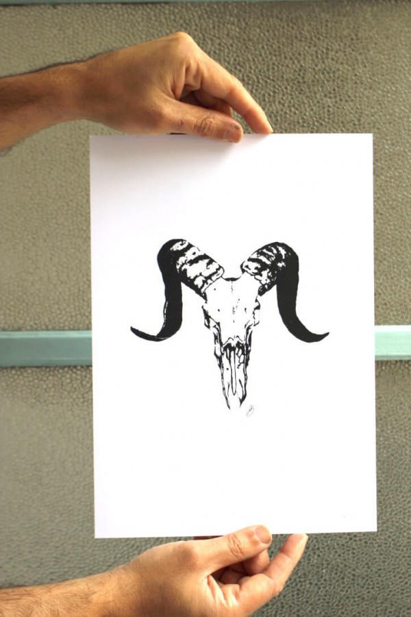 Ram Shades