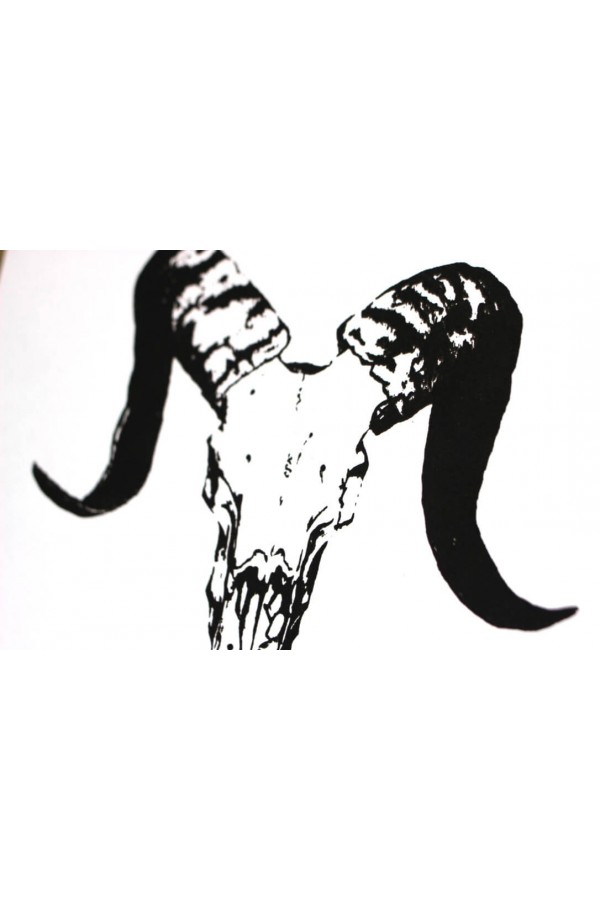 Ram Shades 2