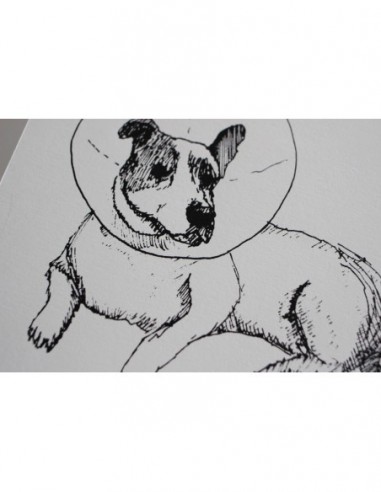 Otto "Der Lampe Hund"