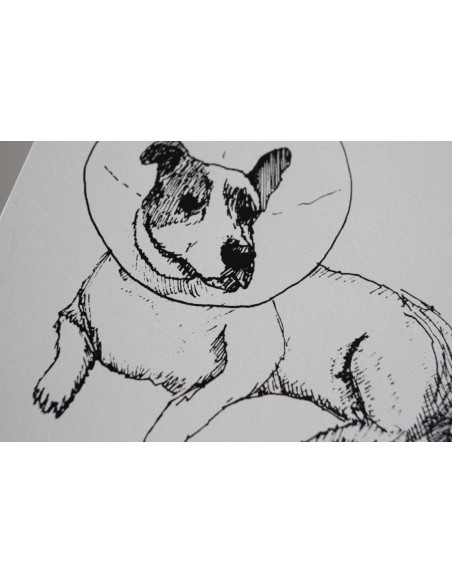 Otto "Der Lampe Hund"